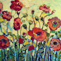 Anitas Poppies