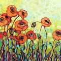Orange Poppies
